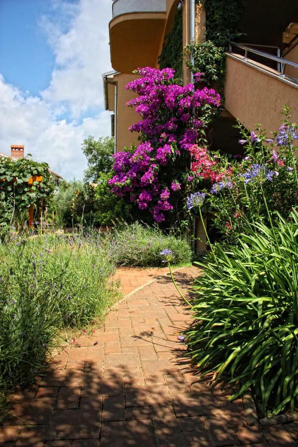 Villa Alexandra 4 Pjescana Uvala Exterior photo